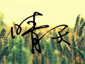 晴天模板彩虹云商城美化源码更新记录
