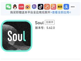 苹果手机Soul分身APP多开新方案,快速安装两个软件!