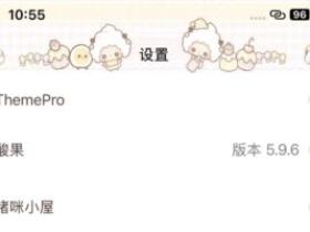 ThemePro宝盒之门菠萝美化主题,插件集成与购买!
