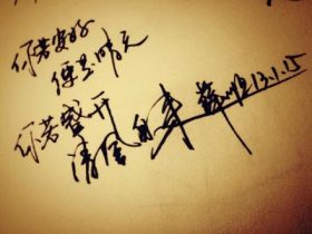 彩虹云商城主站美化源码 分站后台模板演示