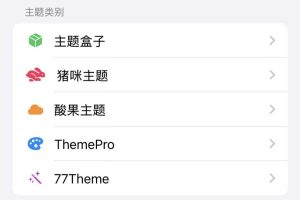 手把手教你玩转ThemePro插件宝盒之门保姆教程