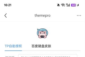 还在为找ThemePro插件下载包发愁？这几个方法真神了