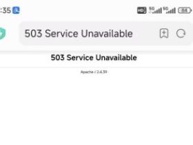 我爱代挂网打不开提示503怎么办？