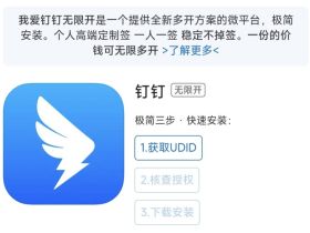 ios苹果钉钉分身多开，安装两个钉钉软件