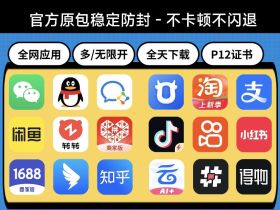 苹果UDID定制签名P12证书，购买畅享多开无忧体验！