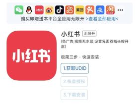苹果手机iOS18系统支持小红书分身双开吗？