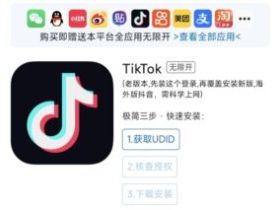 苹果手机TikTok分身定位软件，IOS抖音国际版APP下载