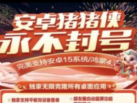 安卓猪猪侠授权激活码，完美支持安卓15系统/鸿蒙4，解锁社交新玩法！