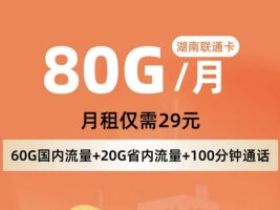 湖南联通流量卡 月租29元60全国+20G省内流量+100分钟通话！