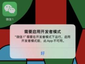 苹果微信分身双开“需要启用开发者模式“方法教程