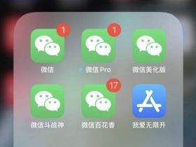 苹果iOS分身双开伪装图标：实现多开分身及设备伪装