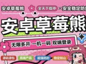 安卓草莓熊定制v授权激活码多开一键转发