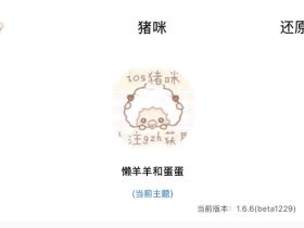 苹果定制V与猪咪小屋插件P12签名秒开证书新体验