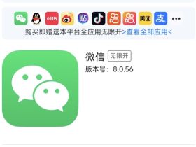 ios定制v最新稳定版下载，推荐使用我爱多开！