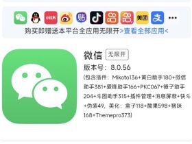 小马定制v美化主题插件酸果+猪咪小屋一键安装！