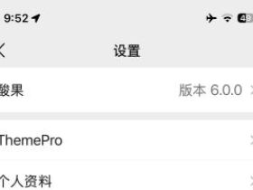 微信主题兑换后怎么下载？酸果/Themepro/ThemeBox插件使用迷局
