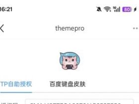还在为找ThemePro插件下载包发愁？这几个方法真神了